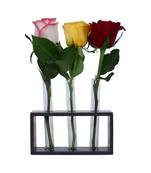 Ratash Corian Solid Surface Hydroponic Test Tube Planter Rectangular Twinkling White with 3 Glass Test Tube