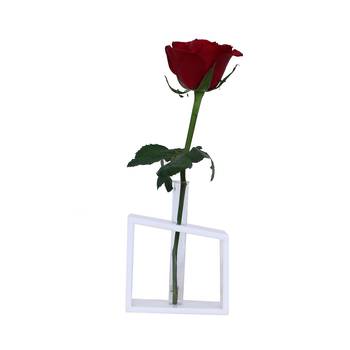 Ratash Corian Solid Surface Hydroponic Test Tube Planter Incline Twinkling White with 1 Glass Test Tube  2