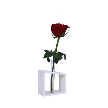 Ratash Corian Solid Surface Hydroponic Test Tube Planter Incline Twinkling White with 1 Glass Test Tube  3