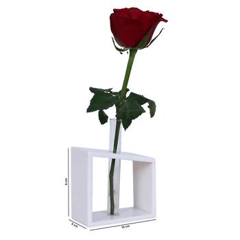 Ratash Corian Solid Surface Hydroponic Test Tube Planter Incline Twinkling White with 1 Glass Test Tube  4
