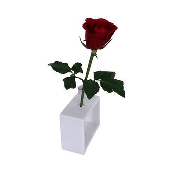 Ratash Corian Solid Surface Hydroponic Test Tube Planter Incline Twinkling White with 1 Glass Test Tube  5