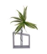 Ratash Corian Solid Surface Hydroponic Test Tube Planter Incline Twinkling White with 1 Glass Test Tube