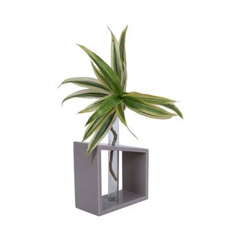 Ratash Corian Solid Surface Hydroponic Test Tube Planter Incline Twinkling White with 1 Glass Test Tube 3