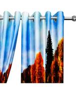 Multicolor Polyester Digtal Printed Curtain