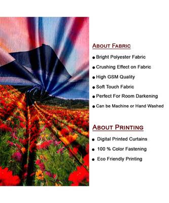 Multicolor Polyester Digtal Printed Curtain 3