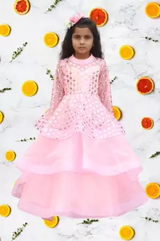 Baby Pink  Embroidery Gown