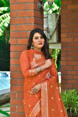 Sea green woven tissue saree with blouse 2