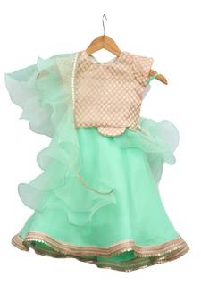 Green lehnga badge gota work choli