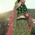 Glamorous Dark green Colored Dori, Zari, and Thread embroidered with stone work Satin Fabric Lehenga for wedding & Bride