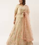 Plus Size Women Peach Net Dual Sequins Embroidered Semi-Stitched Lehenga & Unstitched Blouse with Dupatta