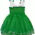 Green Net printed stitched   dress