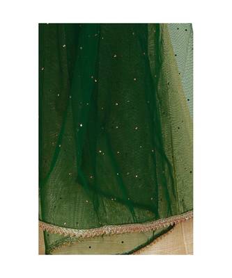 Net Bottle Green Women Dupatta 2