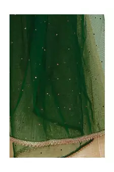 Net Bottle Green Women Dupatta