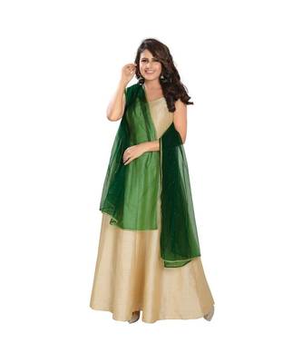 Net Bottle Green Women Dupatta 3