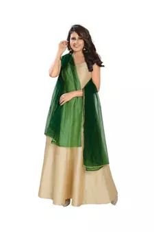 Net Bottle Green Women Dupatta