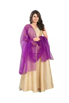 Net Brinjal Women Dupatta