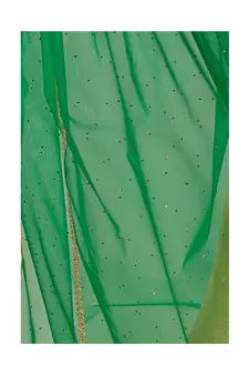 Net Green Women Dupatta