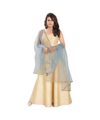 Net Grey Women Dupatta 1