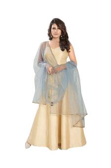 Net Grey Women Dupatta