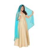 Net Sky Blue Women Dupatta