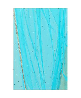 Net Sky Blue Women Dupatta 2