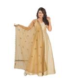 Muhenera Net Gold Women Dupatta-DP-75