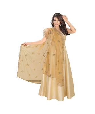Muhenera Net Gold Women Dupatta-DP-75 2