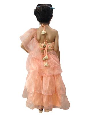 Aglare Peach  Oraganza saree with Peach halter blouse ready to wear.fully stitched 2
