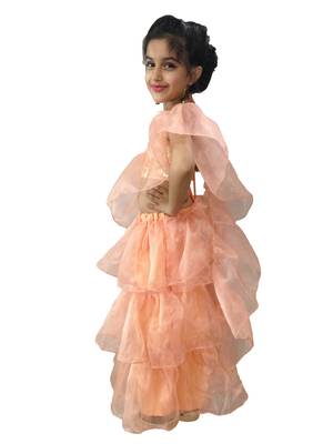 Aglare Peach  Oraganza saree with Peach halter blouse ready to wear.fully stitched 3