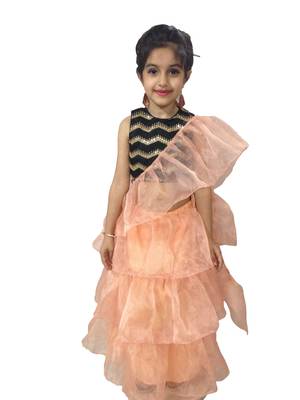 Aglare Peach  Oraganza saree with Black Frill blouse ready to wear.fully stitched 1