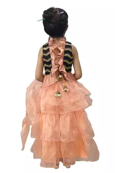 Aglare Peach  Oraganza saree with Black Frill blouse ready to wear.fully stitched