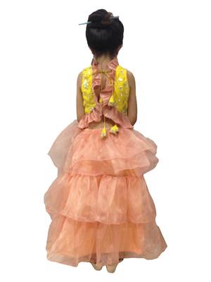 Aglare Peach  Oraganza saree with Yellow frill blouse ready to wear.fully stitched 2