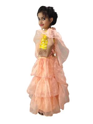 Aglare Peach  Oraganza saree with Yellow frill blouse ready to wear.fully stitched 3