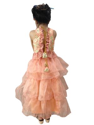 Aglare Peach  Oraganza saree with Peach  Frill blouse ready to wear.fully stitched 2