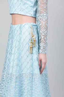 Shubhkala Sky Blue Embroidered Net Semi Stitched Lehenga 4