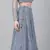 SHUBHKALA grey net embroidered   Choli Blouse with   Lehenga Ghagra with    Dupatta