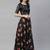 SHUBHKALA black crepe printed   Choli Blouse with   Lehenga Ghagra with    Dupatta