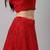 SHUBHKALA red net embroidered   Choli Blouse with   Lehenga Ghagra with    Dupatta