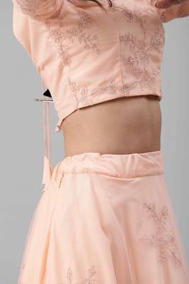 SHUBHKALA peach net embroidered   Choli Blouse with   Lehenga Ghagra with    Dupatta 4