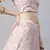 SHUBHKALA light-pink net embroidered   Choli Blouse with   Lehenga Ghagra with    Dupatta