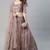SHUBHKALA light-pink net embroidered   Choli Blouse with   Lehenga Ghagra with    Dupatta