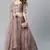SHUBHKALA light-pink net embroidered   Choli Blouse with   Lehenga Ghagra with    Dupatta