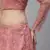 SHUBHKALA light-pink net embroidered   Choli Blouse with   Lehenga Ghagra with    Dupatta