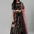 SHUBHKALA black velvet embroidered   Choli Blouse with   Lehenga Ghagra with    Dupatta