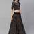SHUBHKALA brown velvet embroidered   Choli Blouse with   Lehenga Ghagra with    Dupatta