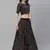 SHUBHKALA brown velvet embroidered   Choli Blouse with   Lehenga Ghagra with    Dupatta