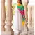 Champa Anarkali Dress Set