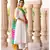 Champa Anarkali Dress Set