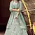 appetizing Light-green zarkan, zari, and dori embroidered velvet semi stitched Festive lehenga