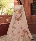 Beige zarkan, dori, velvet pasting, and thread embroidered organza Semi Stitched Lehenga